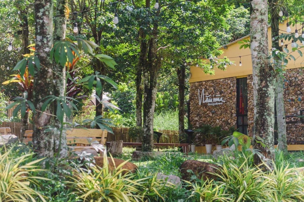 Nam Mua Bungalows Huong Hoa Екстериор снимка